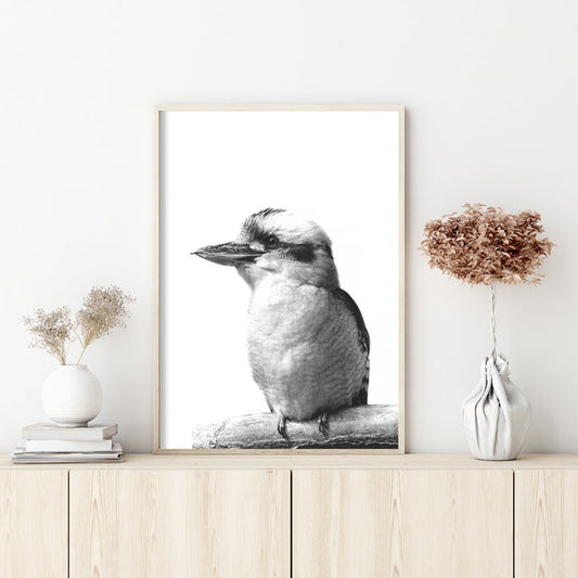 70cmx100cm Kookaburra Black Frame Canvas Wall Art